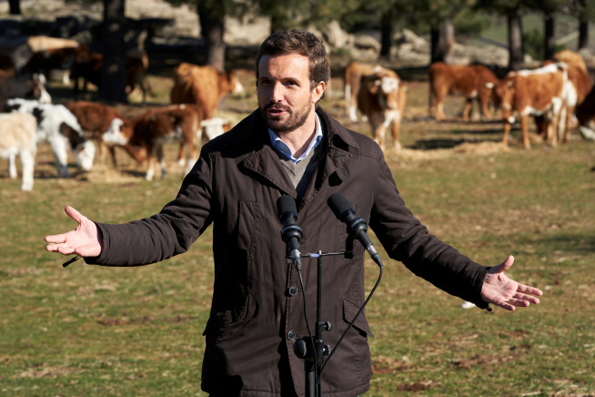 Pablo Casado visita a una explotación ganadera de extensivo