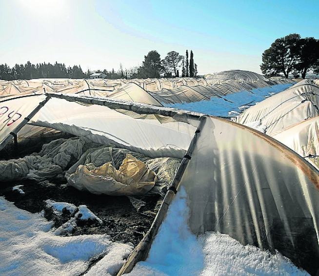 Daños provocados por nieve, hielo, pedrisco, lluvias, fauna cinegética e inundaciones en 2021.