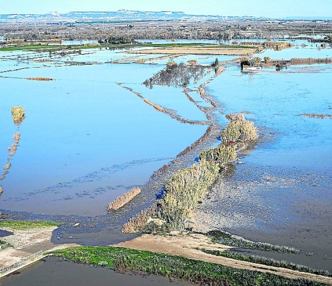 Daños provocados por nieve, hielo, pedrisco, lluvias, fauna cinegética e inundaciones en 2021.