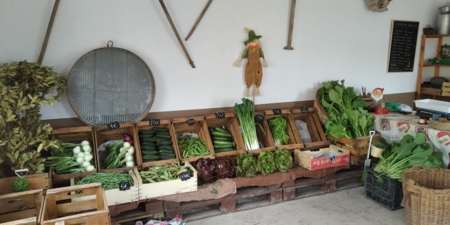Lo especial de El Huerto del Presi es que la tienda está en el propio huerto