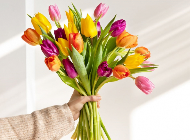 Mayo es el mes de las flores: tres ideas para llenar tu casa de vida,  aunque no sepas de plantas