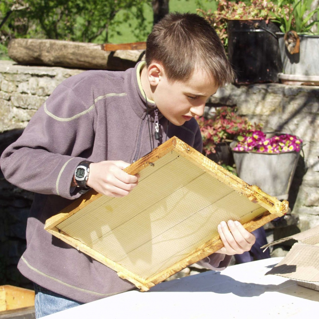 Casa Lanau ofrece visitas con apicultores a colmenas de abejas