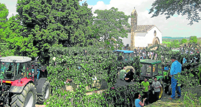 Los tractores y las carrozas engalanadas son típicas de la celebración de San Isidro Labrador en la localidad monegrina de Sariñena.