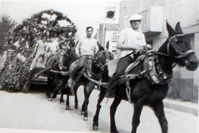 Carruaje tirado por caballos durante la celebración de la romería de San Isidro.