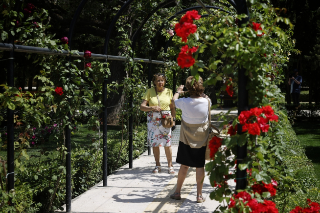 El parque Grande de Zaragoza estrena una rosaleda “única en el mundo”