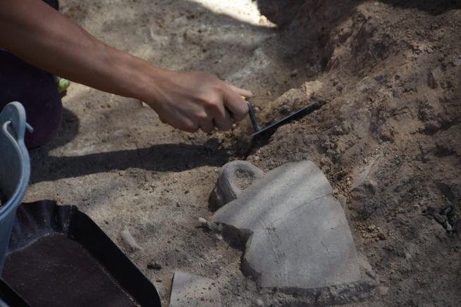 Descubrimientos realizados en las excavaciones del Museo de Teruel en el yacimiento Alto Chacón