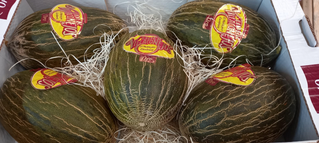Melones que comercializan en Frutas Javier Mené.