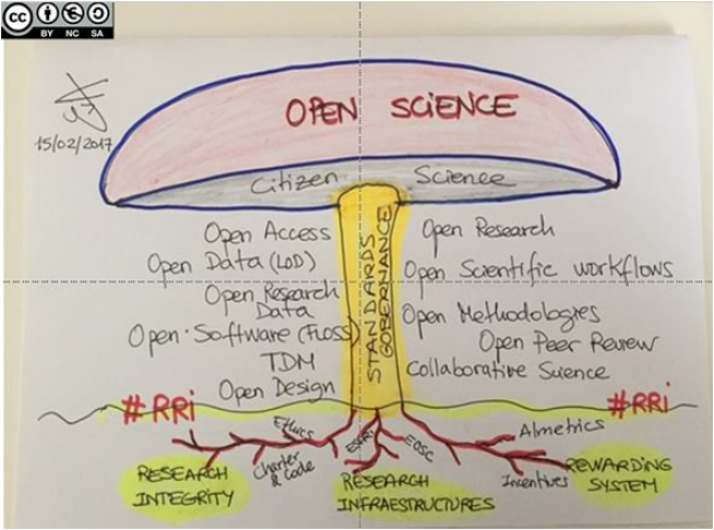 El papel de la ciencia ciudadana como diseminadora de la ciencia abierta