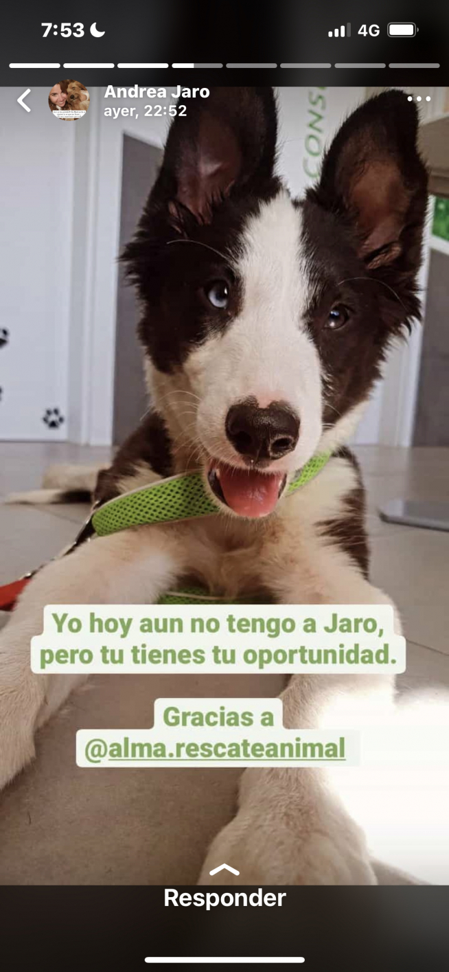 Durante la búsqueda de Jaro, apareció él.