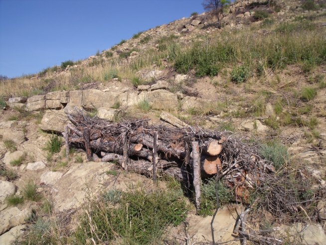 Evitar o reducir la erosión es el fin de medidas de emergencia como fajinas, que utilizan la propia madera quemada