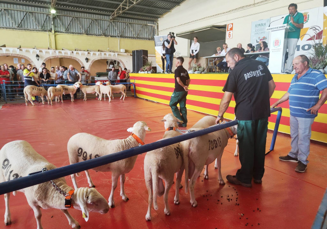 Feria Femoga en Sariñena.