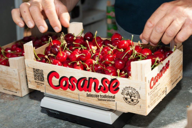 Nueva caja de cerezas de Cosanse con un código QR.