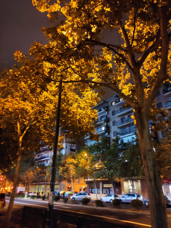 Los árboles tapan la luz de las farolas en una calle del barrio de Jesús de Zaragoza.