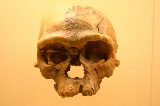 Réplica del cráneo de Djebel Irhoud-1: un rostro moderno en un cráneo con rasgos arcaicos en los restos de Homo sapiens más antiguos hallados en el continente africano.