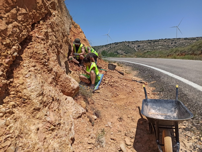 Las labores de excavación de los yacimientos de Allueva se iniciaron este verano, e involucraron a numerosos paleontólogos del grupo Aragosaurus-IUCA