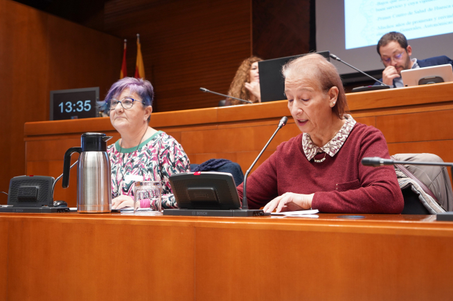 Purificación Broto (Asociación vecinal del Perpetuo Socorro) y Violeta Gracia (Osce Biella), durante la comparecencia.
