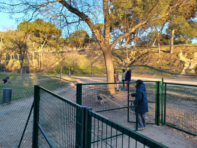 Fotos de la zona para perros del parque Grande de Zaragoza