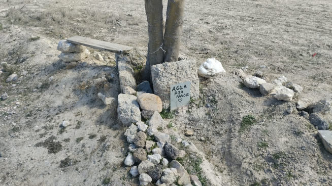 "El arbolico de Juan Rayo", en el camino viejo de Torrecilla de Valmadrid, cerca de Zaragoza.