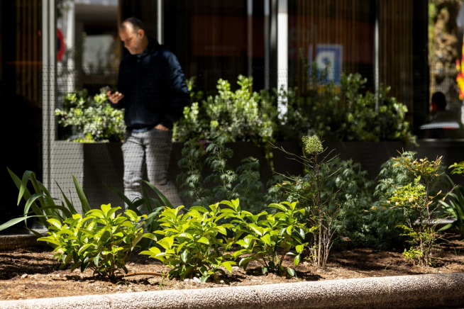 Foto del paseo de Sagasta de Zaragoza con sus nuevos parterres
