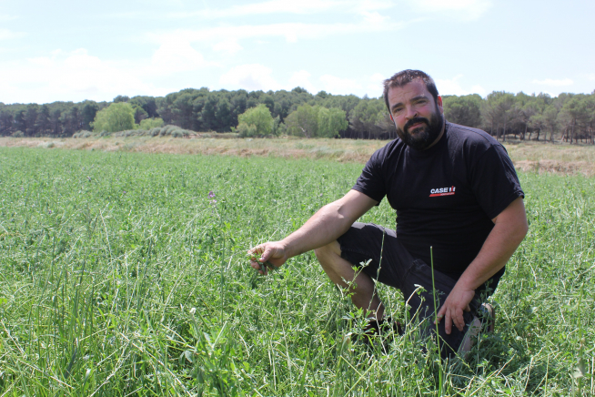 Óscar Artigas, vecino de Frula, en uno de sus campos de alfalfa, donde la tormenta ha acabado con alrededor del 60% de la producción.