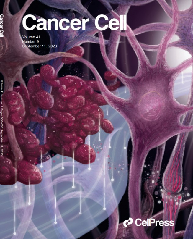 La revista 'Cancer Cell' dedica su portada a la investigación que explica que la pérdida cognitiva en pacientes con metástasis cerebral puede deberse a las interferencias que crea el cáncer en los circuitos neuronales.