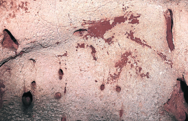 Una de las pinturas rupestres halladas.