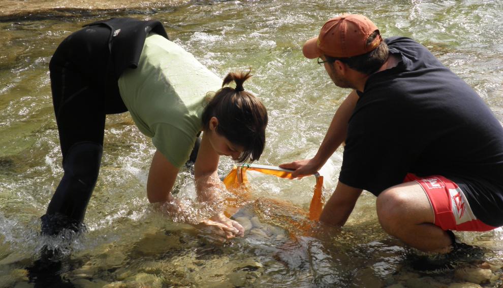 Toma de muestras en el río Alcanadre.