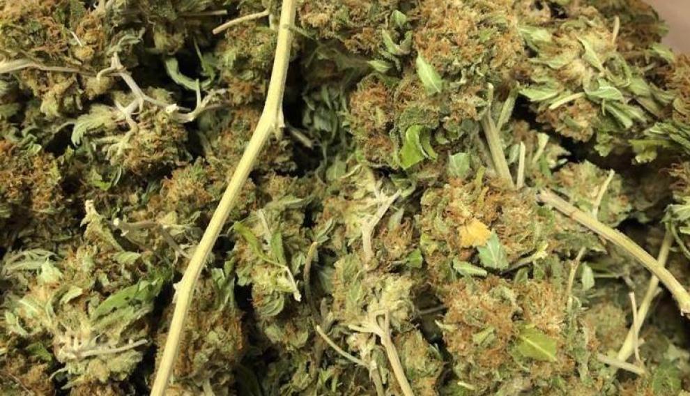 Se le incautaron unos 200 gramos de lo que parece ser marihuana