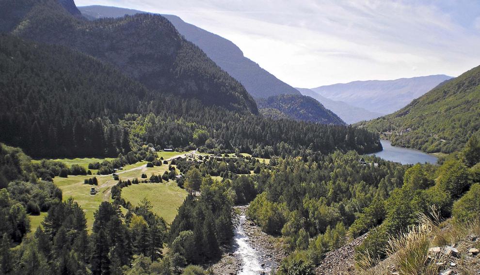 El agua se abre camino entre los bosques de pinos de Senarta.