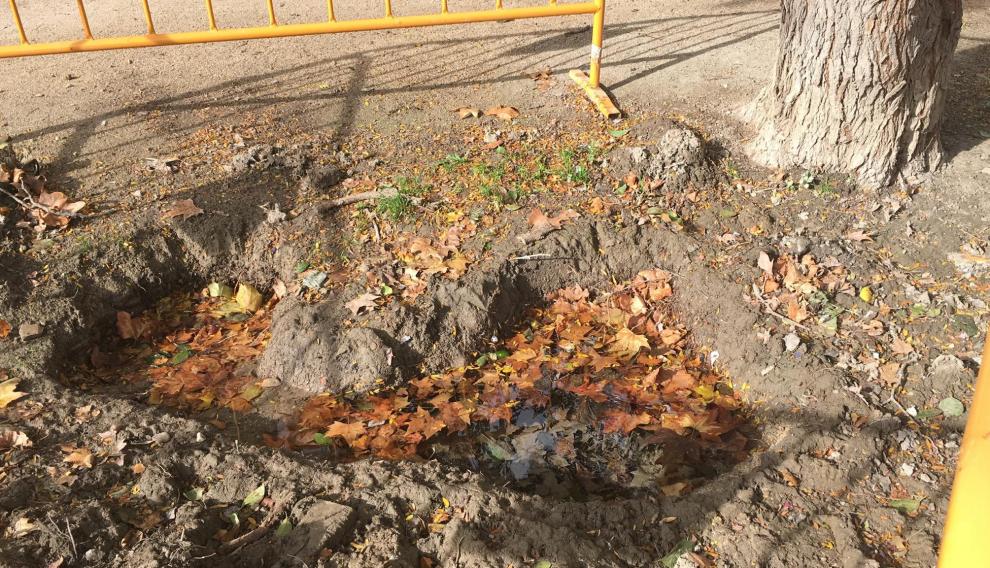 Sima que ha aparecido en el parque Tío Jorge.