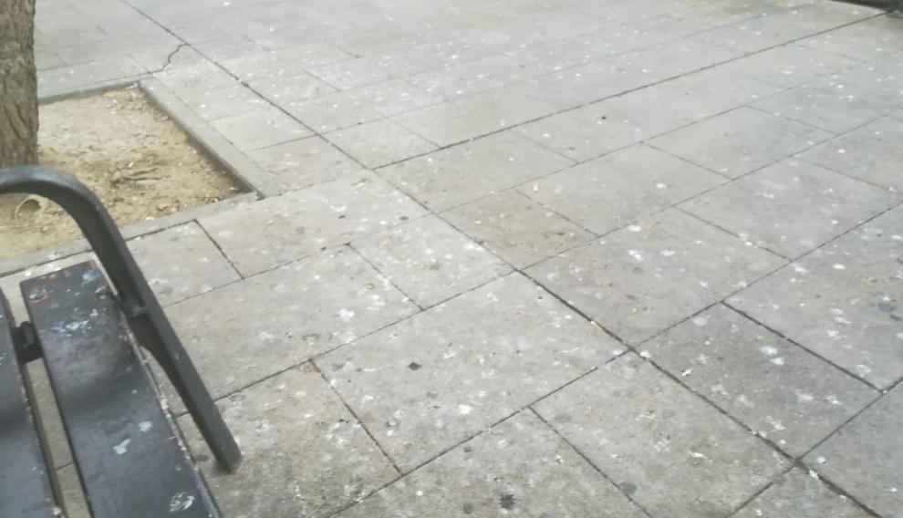 Suciedad en la plaza de Santo Domingo a causa de las palomas.