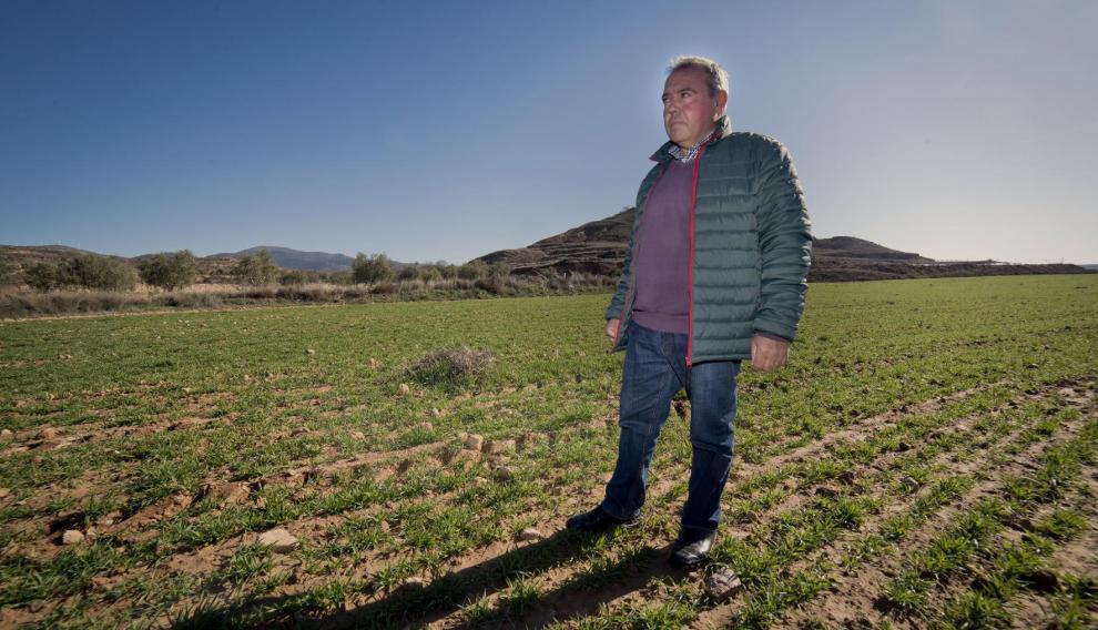 José Manuel Sebastián, agricultor y alcalde de Aniñón, en un campo de cereal.
