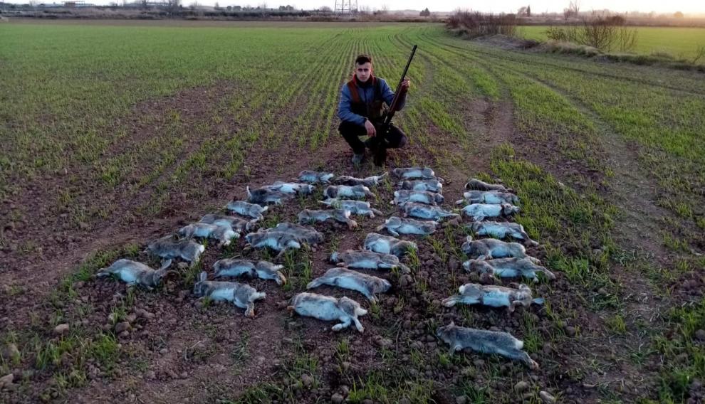 Un joven cazador de Épila, con una trentena de conejos cazados.