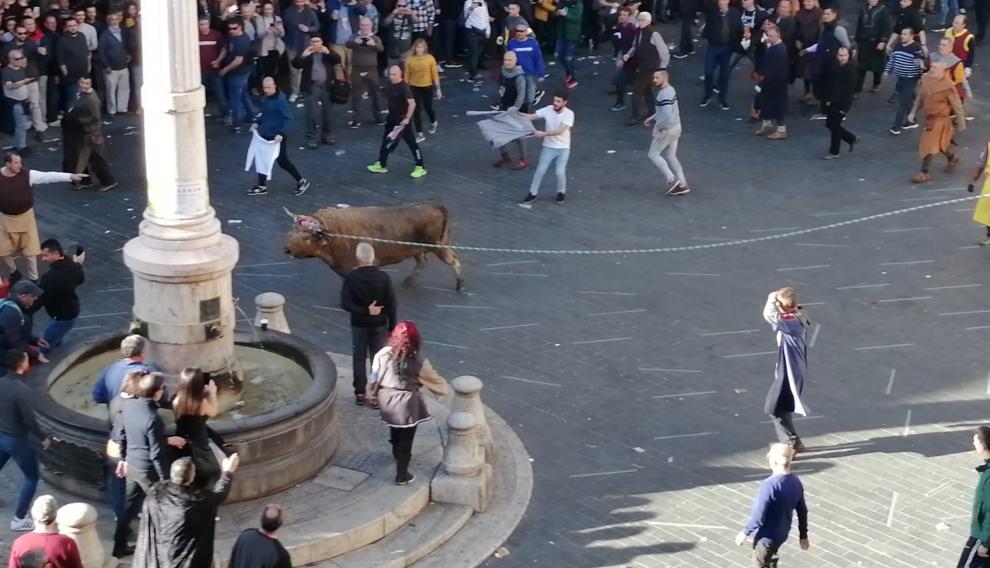 El toro nupcial y ensogado ya se está celebrando en la plaza del Torico