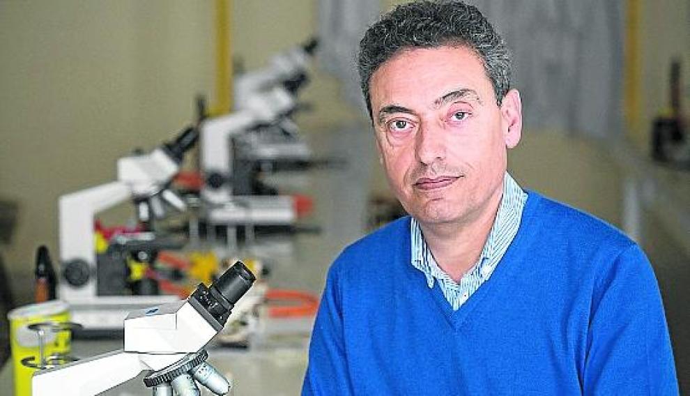 Carlos Martín Montañés