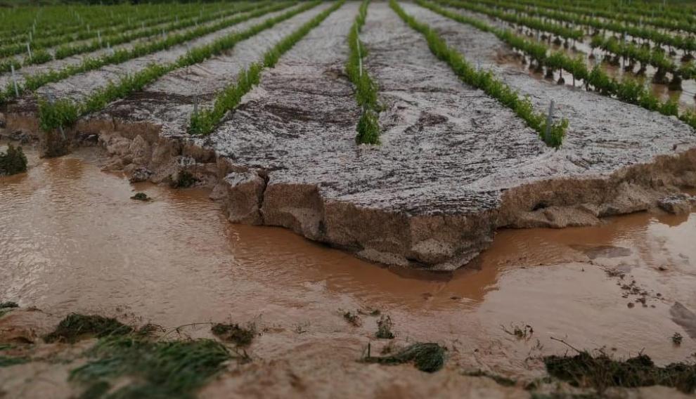 Daños causados por las fuertes tormentas en la comarca del Campo de Borja.