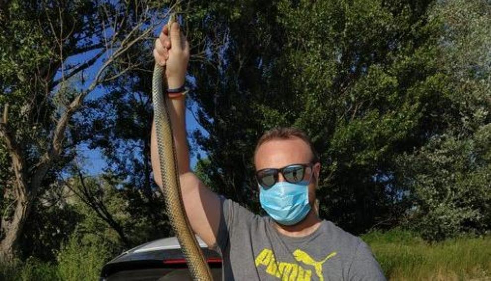 Momento en el que fue interceptada la serpiente