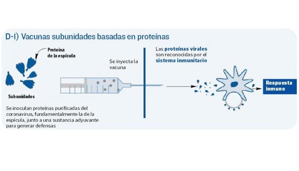 Así funcionan las vacunas subunidades de proteínas del virus