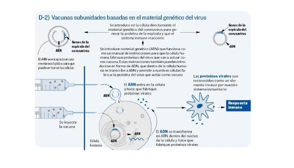 Así funcionan las vacunas subunidades basadas en material genético del virus
