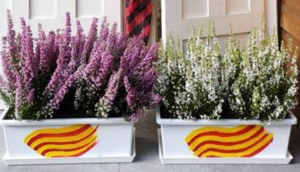 Ideas para decorar balcones