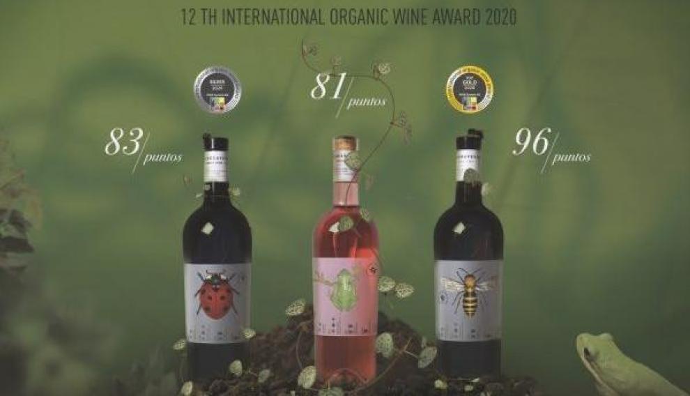 Vinos de la Bodega Verde de San Valero