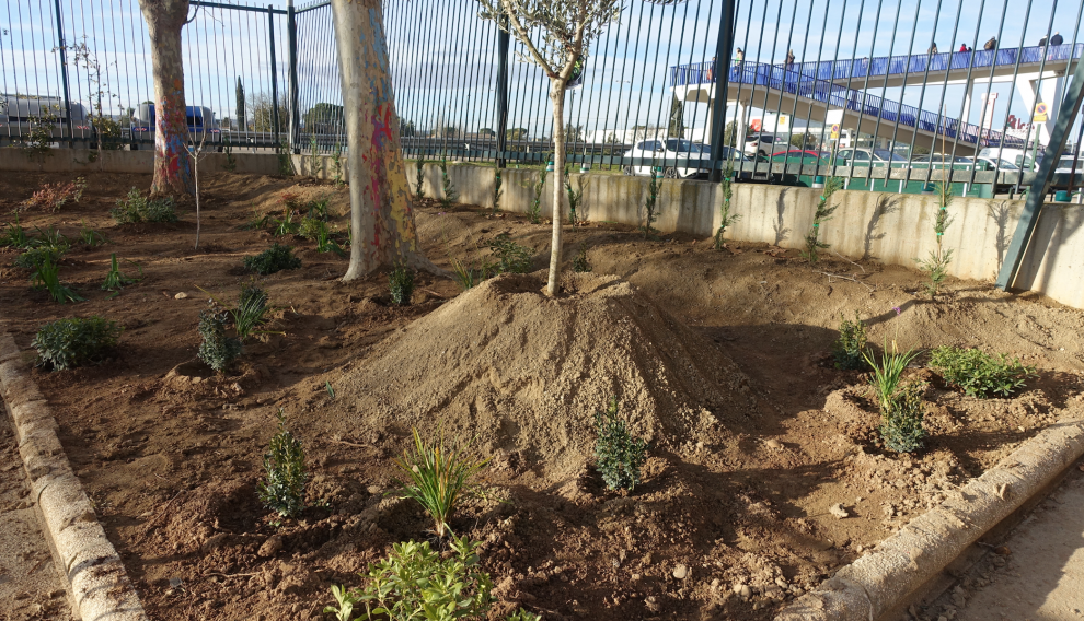 Jornada de plantación.
