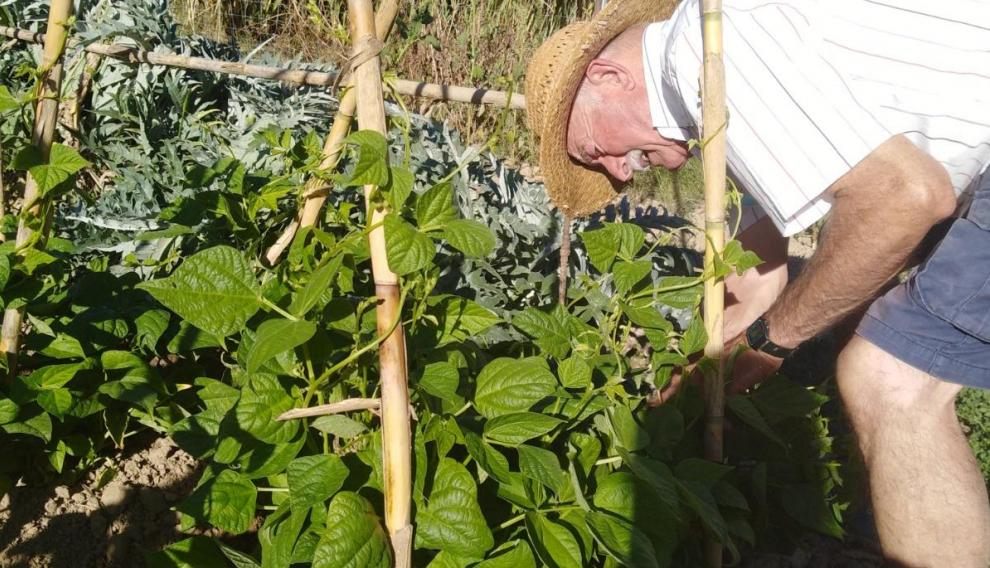 Cultivo ecológico en la ribera del Vero.
