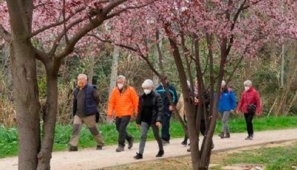 Las quedadas activas para mayores de 55 años congregan a 70 personas por andada