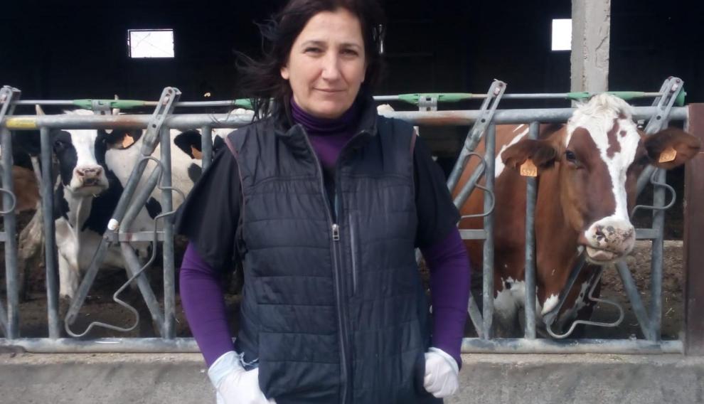 La veterinaria Mónica Espada junto a vacas frisonas en una explotación ganadera en Tauste.