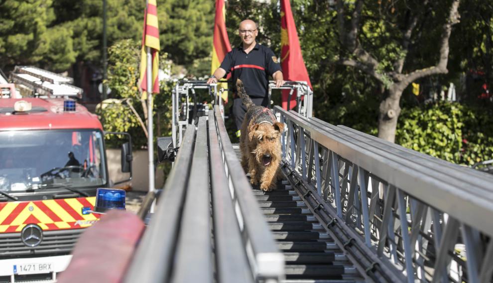 Zarza camina por una escalera de bomberos ante la atenta mirada de su sueño el oficial bombero Alfonso del Río.