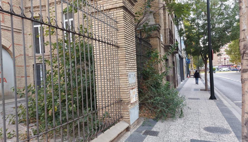 Los árboles y arbustos del edificio de Galletas Patria invaden la acera