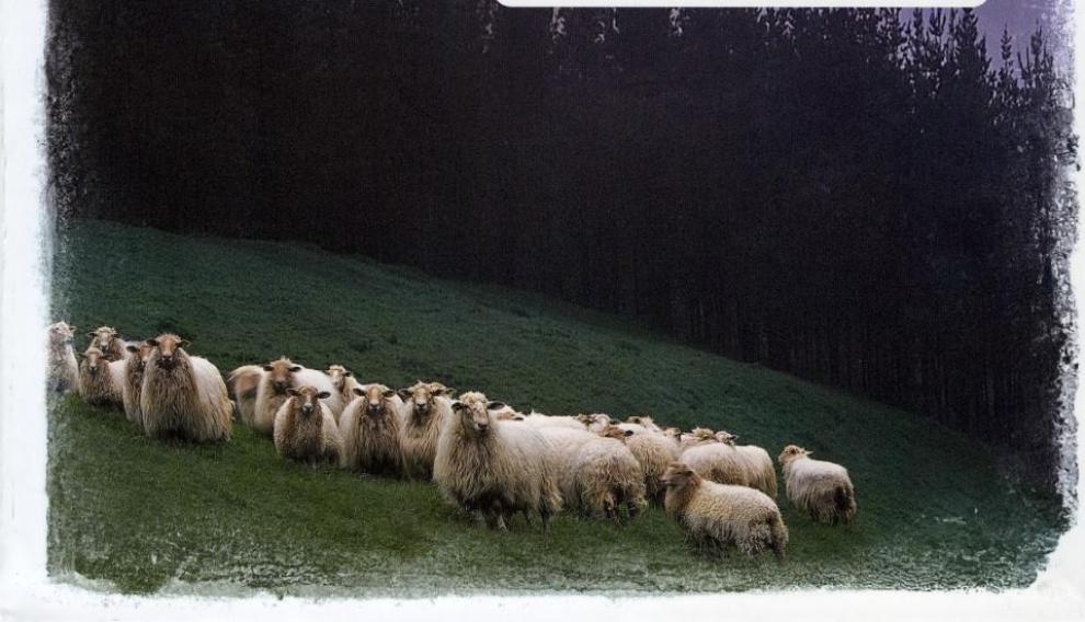 Detalle de la portada de 'Guía de la España rural'.