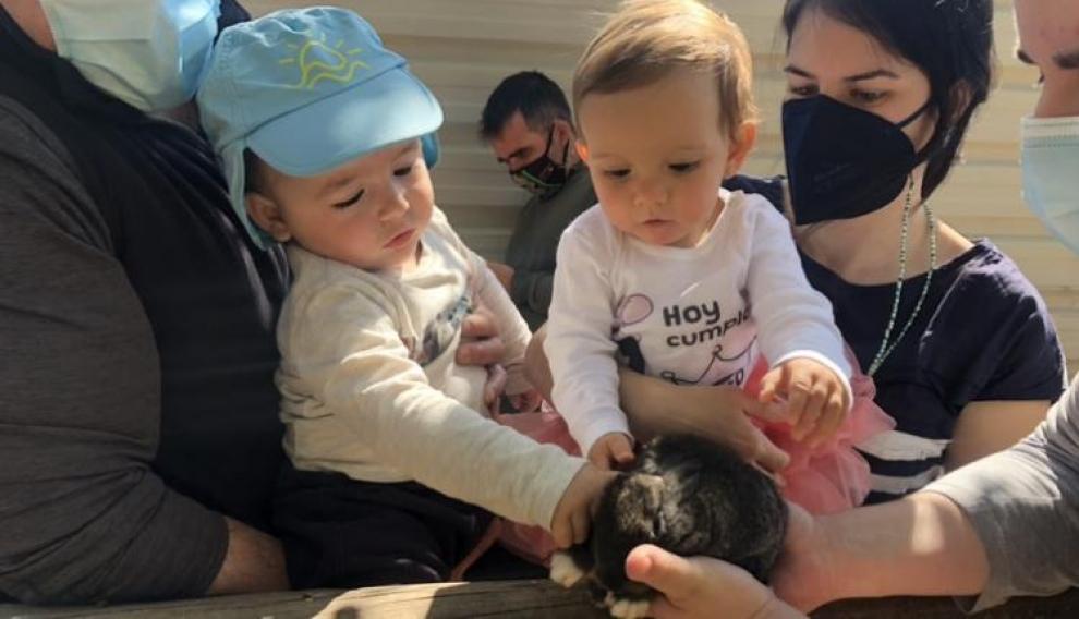 El zoológico Iris solo se puede visitar con cita previa y hay actividades desde los 0 años.