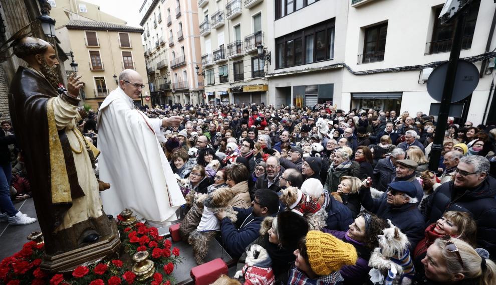 Las mascotas reciben la bendición de San Antón en Zaragoza